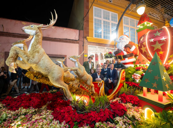 Semana de las Flores